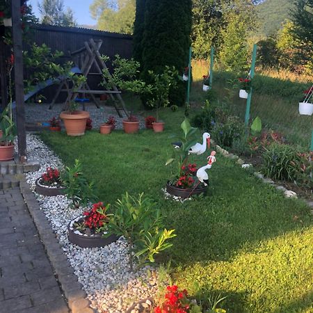 Pensiunea Casa Cu Flori Cisnadioara Exterior photo
