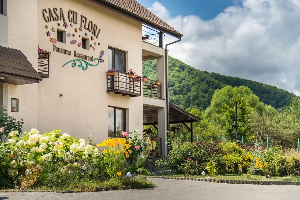 Pensiunea Casa Cu Flori Cisnadioara Exterior photo